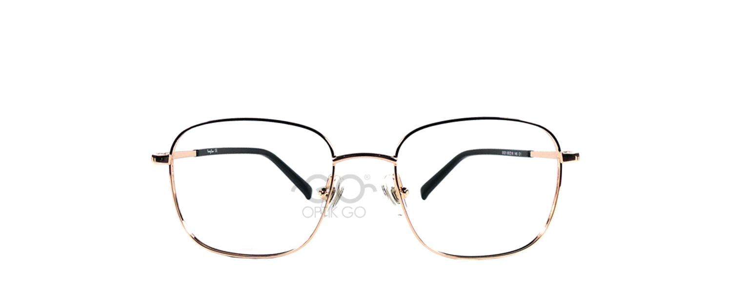 Lucy Law 5121 / C2 Brown Gold Glossy
